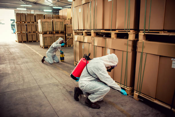 Best Termite Control Services  in Cherokee, IA