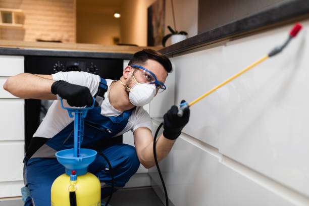 Best Rat Extermination Near Me  in Cherokee, IA