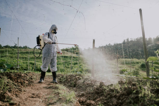 Best Mosquito Control Services  in Cherokee, IA