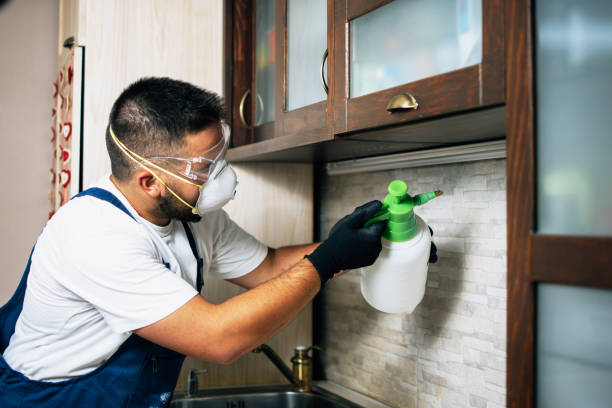 Best Pest Control for Restaurants  in Cherokee, IA