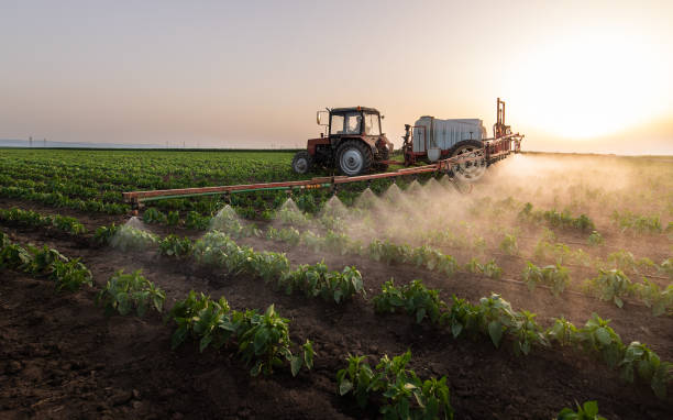 Best Pest Inspection Near Me  in Cherokee, IA