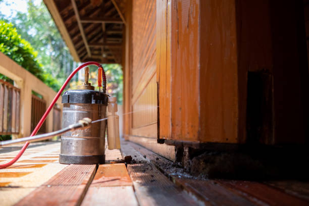 Best Pest Control for Businesses  in Cherokee, IA