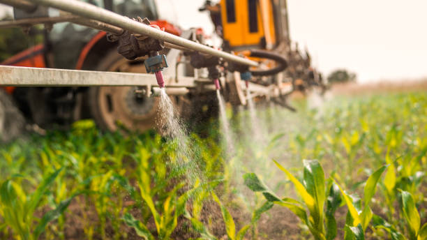 Best Affordable Exterminators  in Cherokee, IA