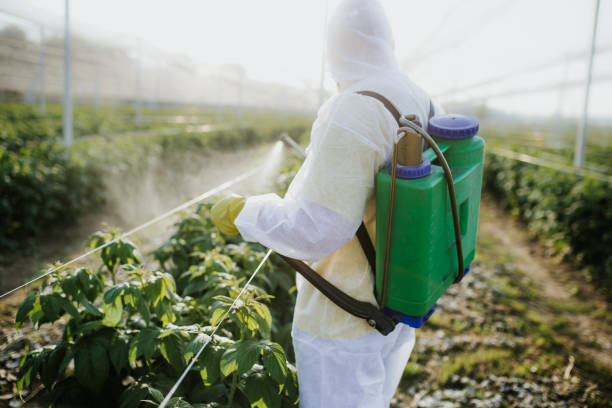 Best Local Pest Control Services  in Cherokee, IA